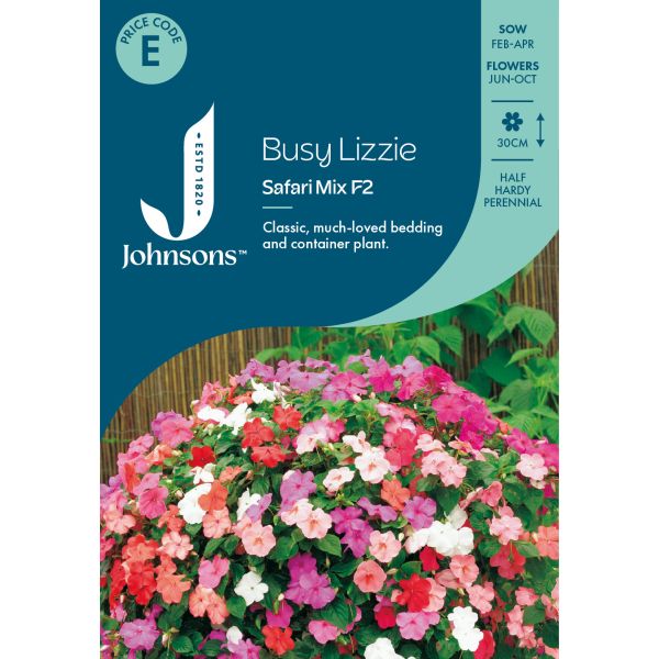 Busy Lizzie Safari Mixed F2 Seeds