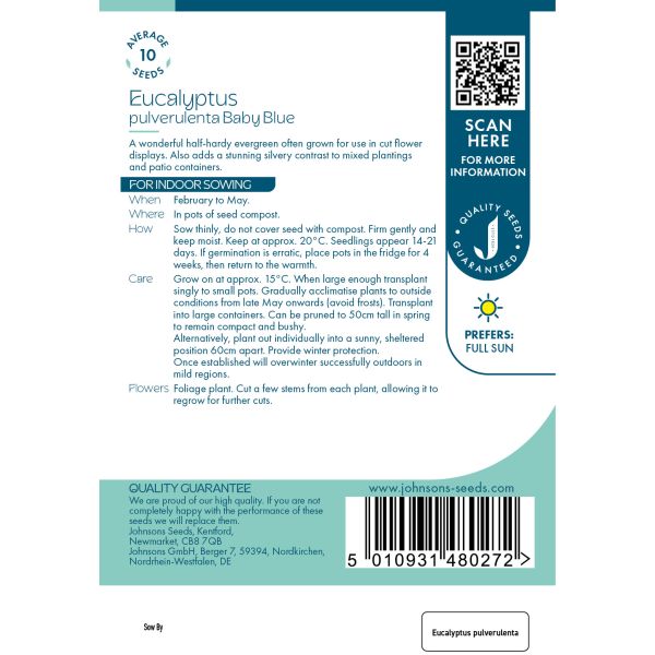 Eucalpytus pulverulenta Baby Blue Seeds