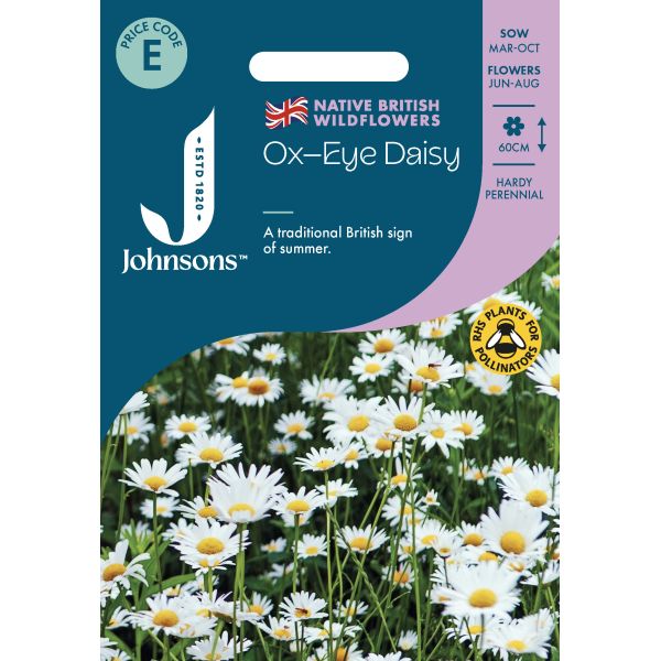 wildflower daisy seeds Wildflower Ox Eye Daisy Seeds