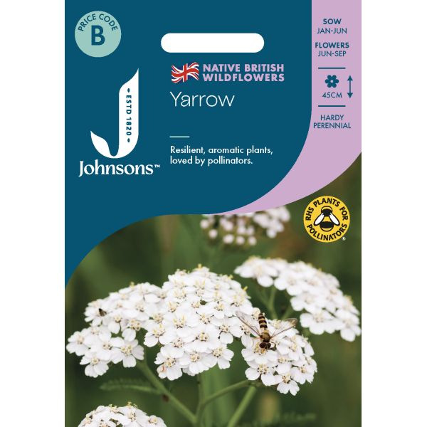 Yarrow Seeds