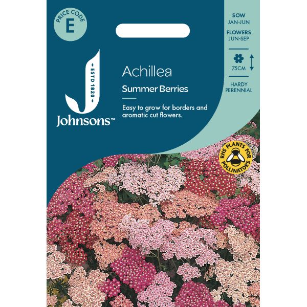 Achillea Summer Berries Seeds