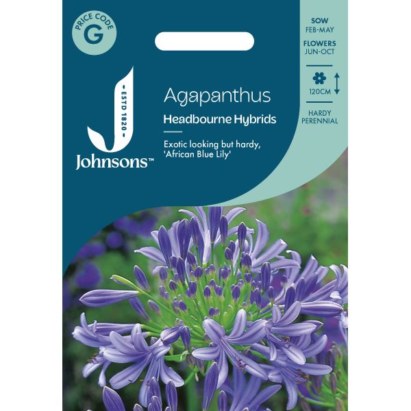 Agapanthus Headbourne Hybrid Seeds