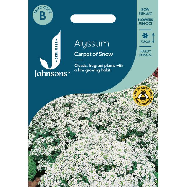 Alyssum Carpet Of Snow Seeds
