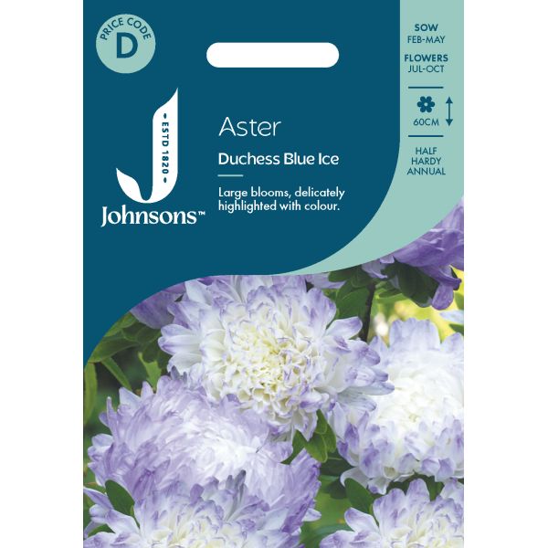 Aster Duchess Blue Ice Seeds