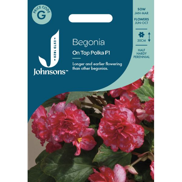 Begonia On Top Polka Dot F1 Seeds