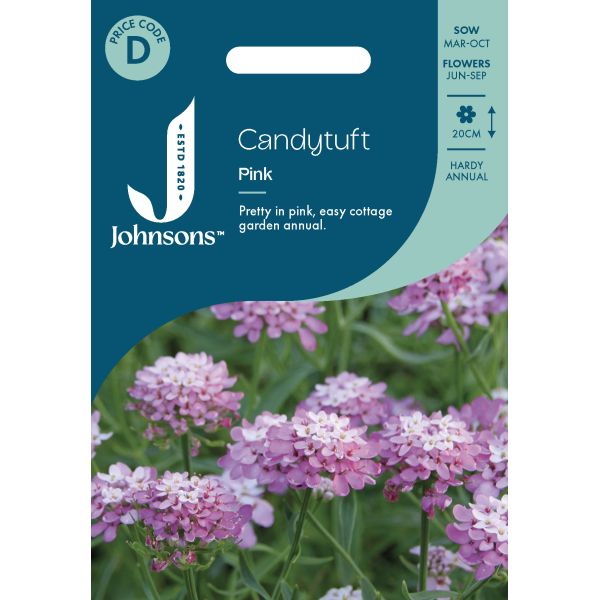 Candytuft Pink Seeds