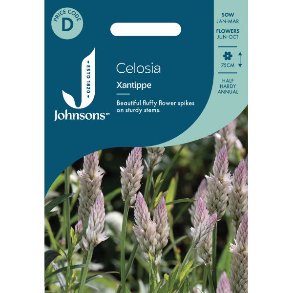 Celosia Xantippe Seeds