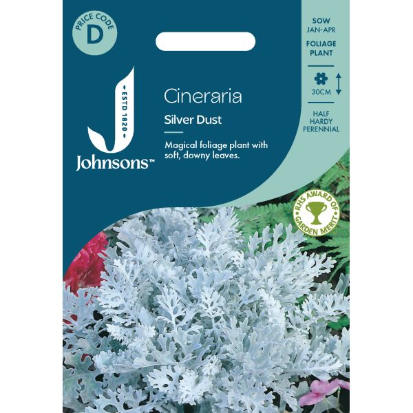 Cineraria Silver Dust Seeds