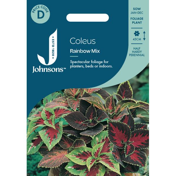 Coleus Rainbow Mixed Seeds