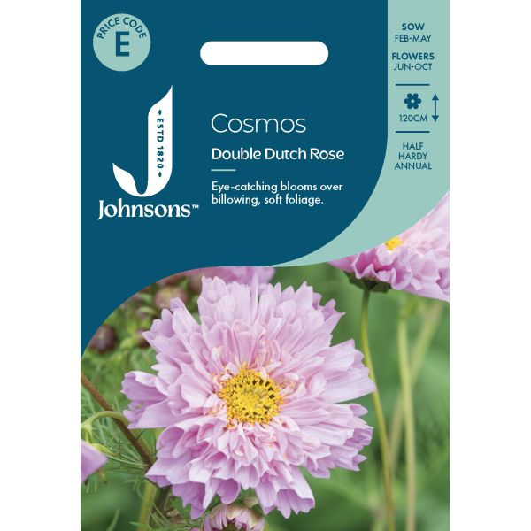 Cosmos Double Dutch Rose Seeds