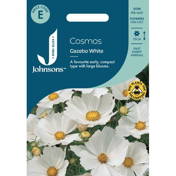 Cosmos Gazebo White Seeds
