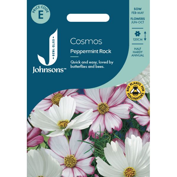 Cosmos Peppermint Rock Seeds