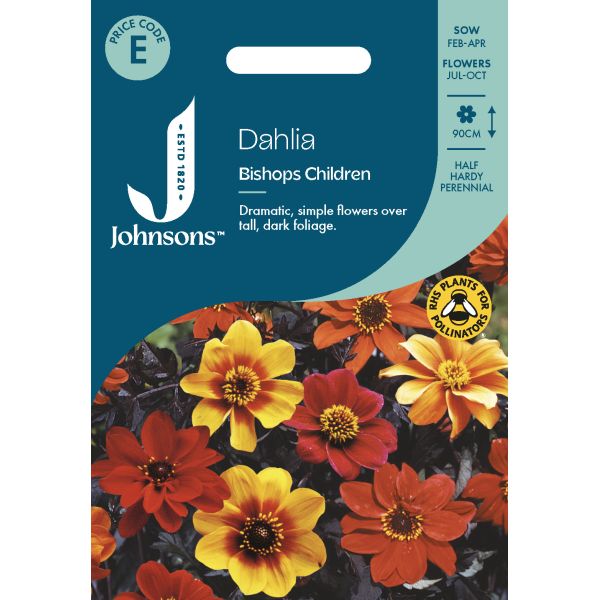 Dahlia Bishops Children Seeds