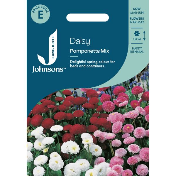 Daisy Pomponette Mix Seeds