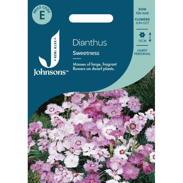 Dianthus Sweetness Seeds