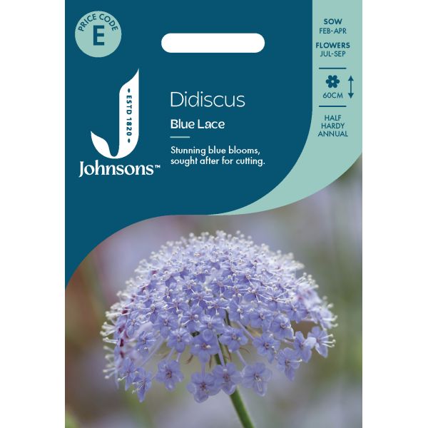 lacy lavender blue didiscus seed Didiscus Blue Lace Seeds