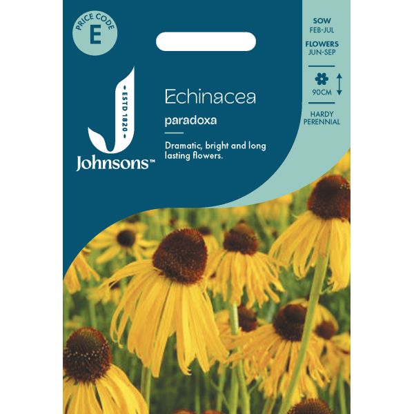 Echinacea paradoxa Seeds