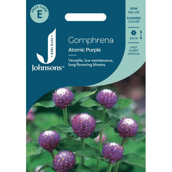 Gomphrena Atomic Purple Seeds From Johnsons