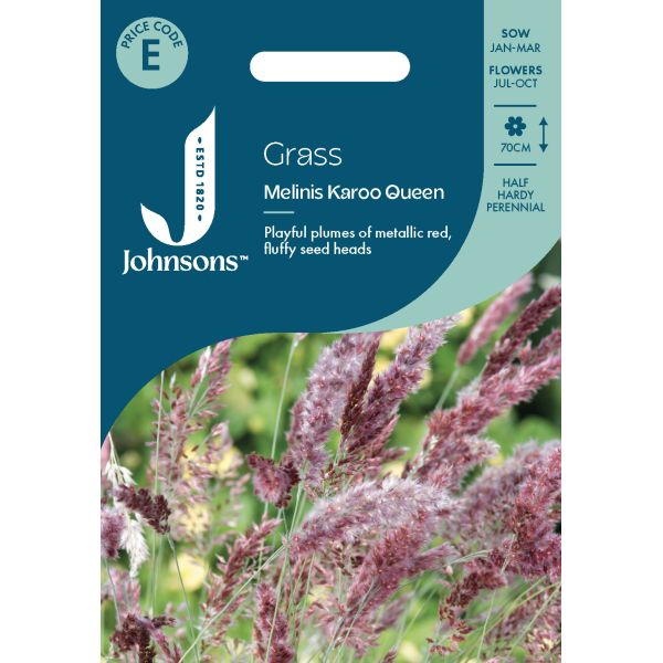Grass Melinis Karoo Queen Seeds