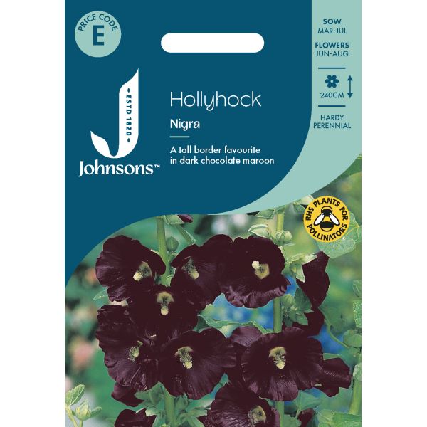 Hollyhock Nigra Seeds