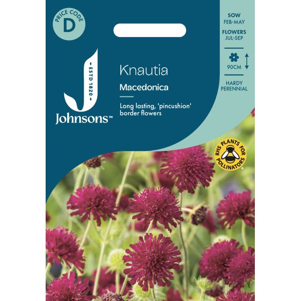 Knautia Macedonica Seeds