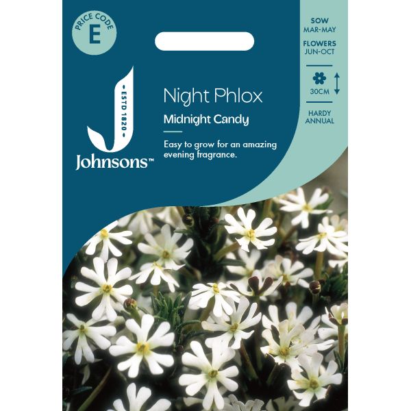 Night Phlox Midnight Candy Seeds