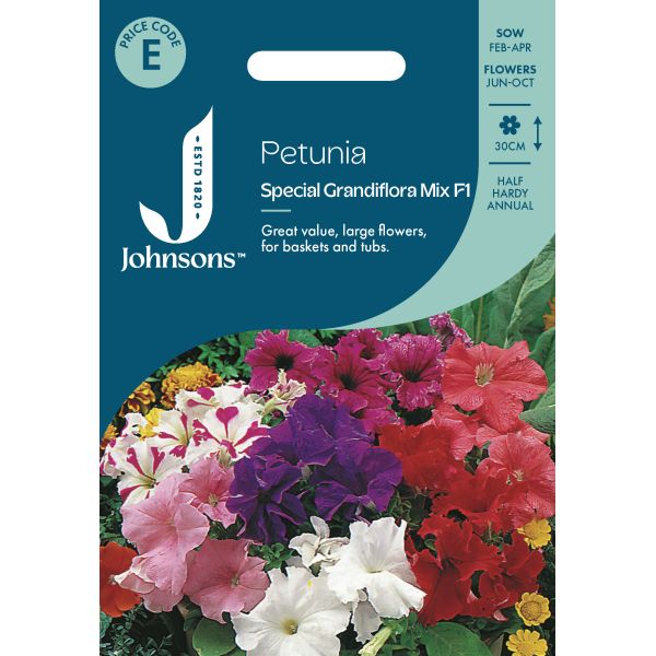 petunia flower seeds for sale Petunia Special Grandiflora Seeds