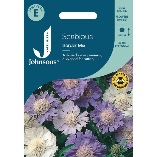 Scabious Border Mix Seeds