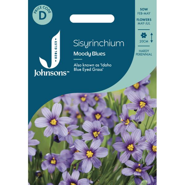 Sisyrinchium Moody Blues Seeds