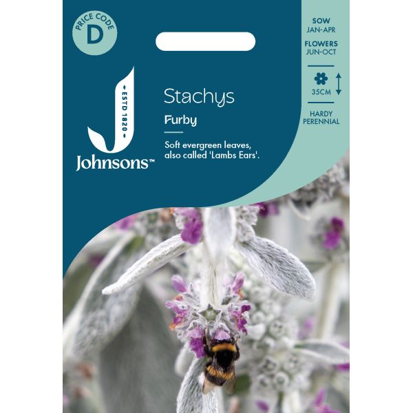 Stachys Furby Seeds