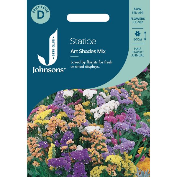 Statice Art Shades Mix Seeds