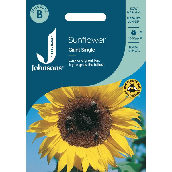 Sunflower Giant Single Seeds