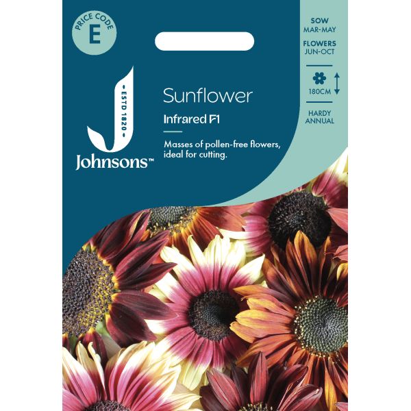 Sunflower Infrared F1 Seeds