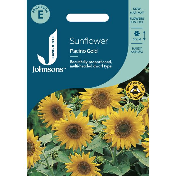 Sunflower Pacino Gold Seeds
