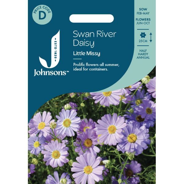 Swan River Daisy Little Seeds