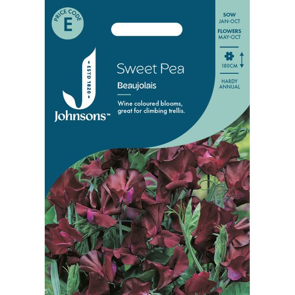 Sweet Pea Beaujolais Seeds