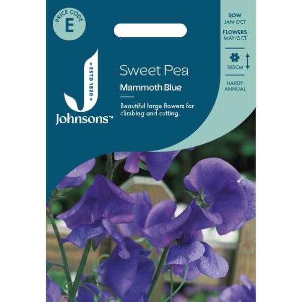 Sweet Pea Mammoth Blue Seeds