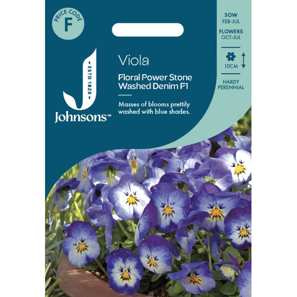 viola f1 plant Viola Floral Power Stone Washed Denim F1 Seeds