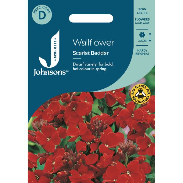Wallflower Scarlet Bedder Seeds