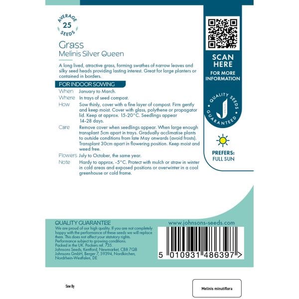 Grass Melinis Silver Queen Seeds