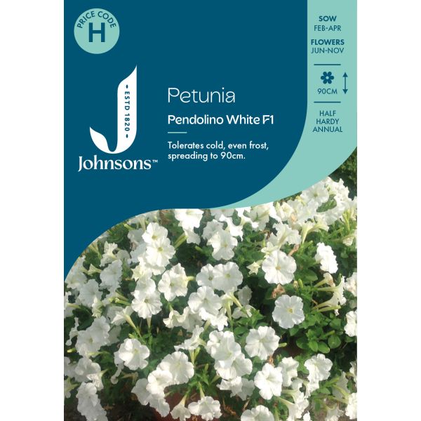 Petunia Pendolino White Seeds