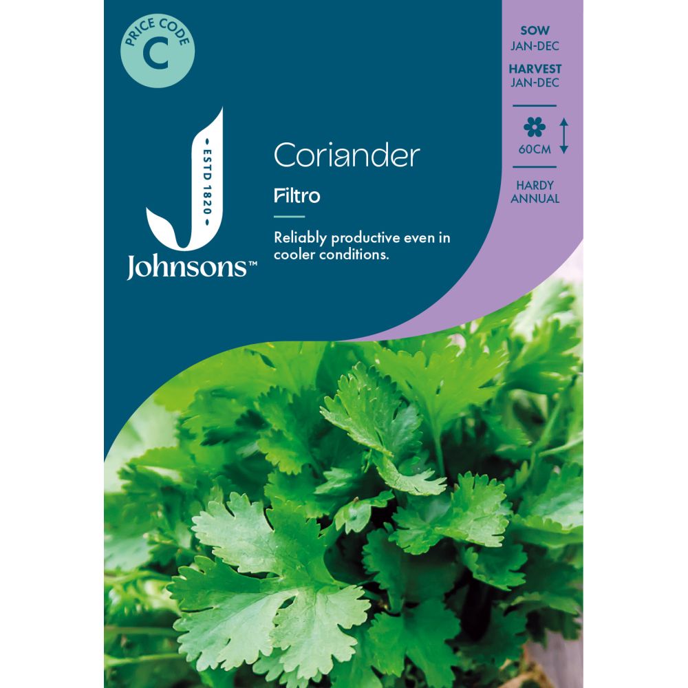 Coriander Filtro Seeds