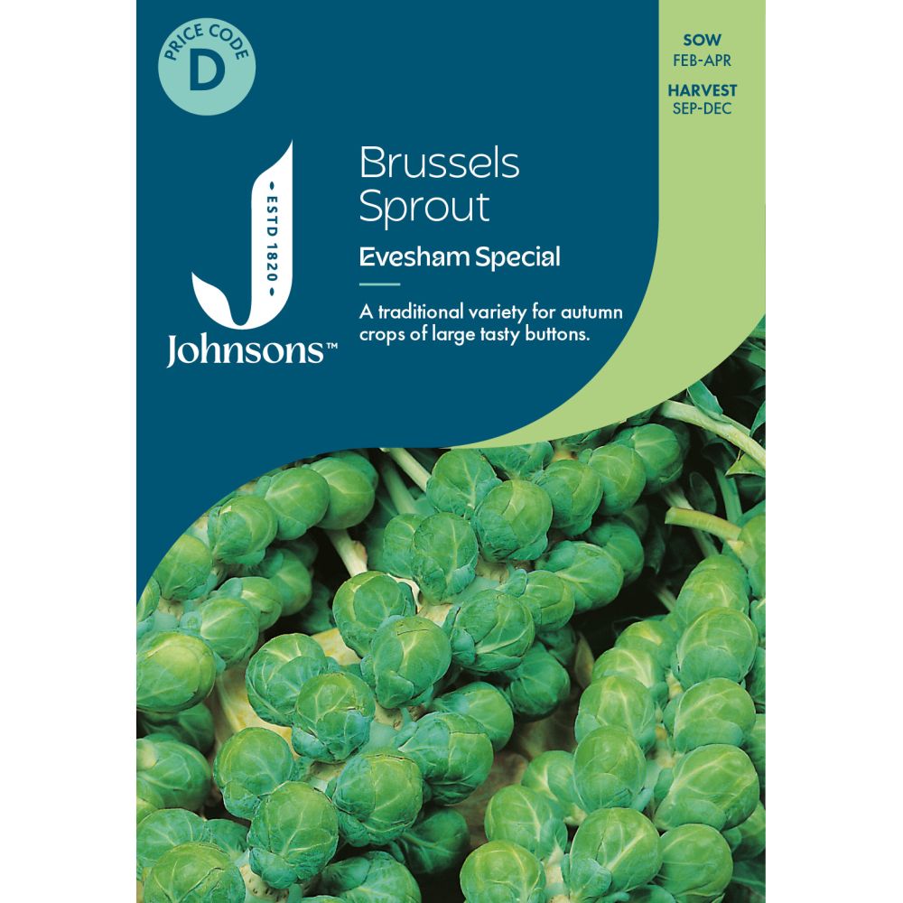 Brussels Sprout Evesham Special Seeds