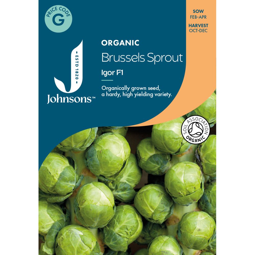 Brussels Sprout Igor F1 Organic Seeds