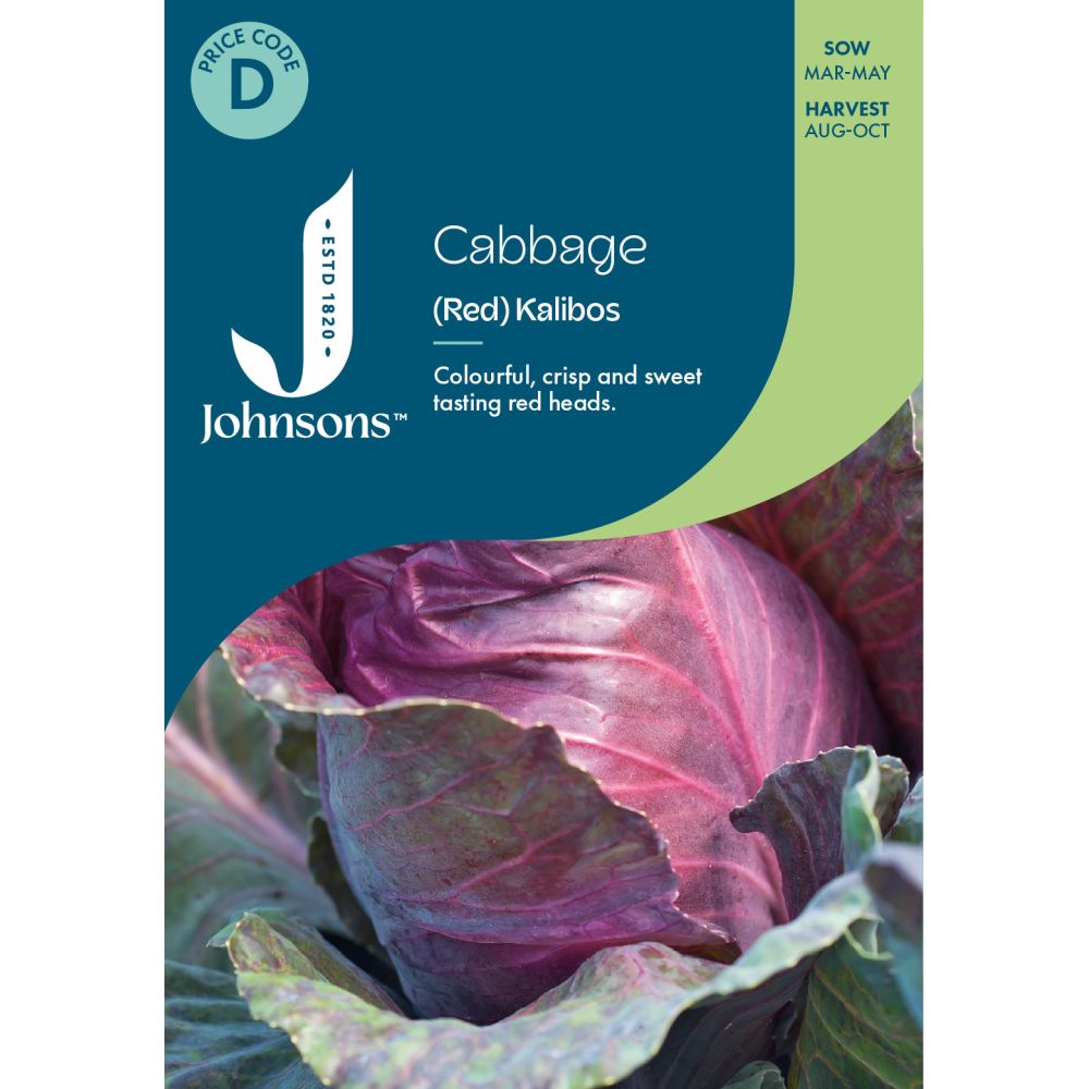 Cabbage Red Kalibos Seeds