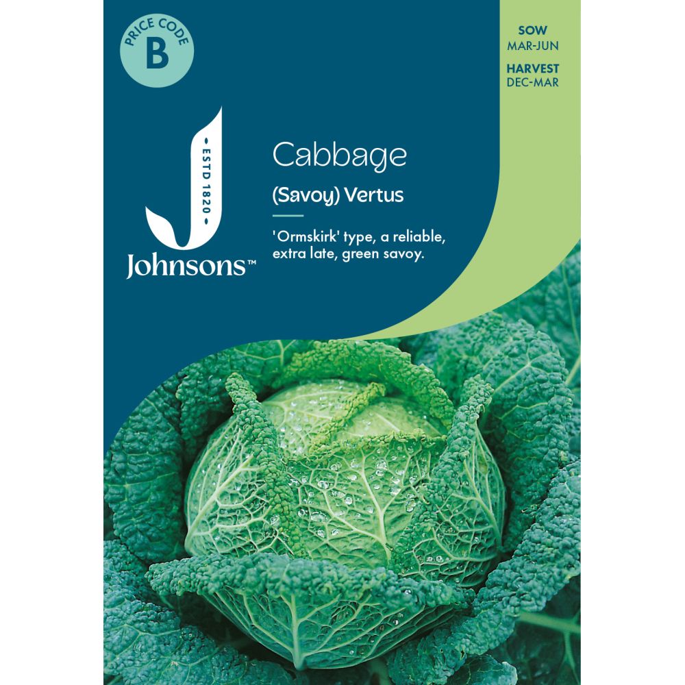 Cabbage Savoy Vertus Seeds