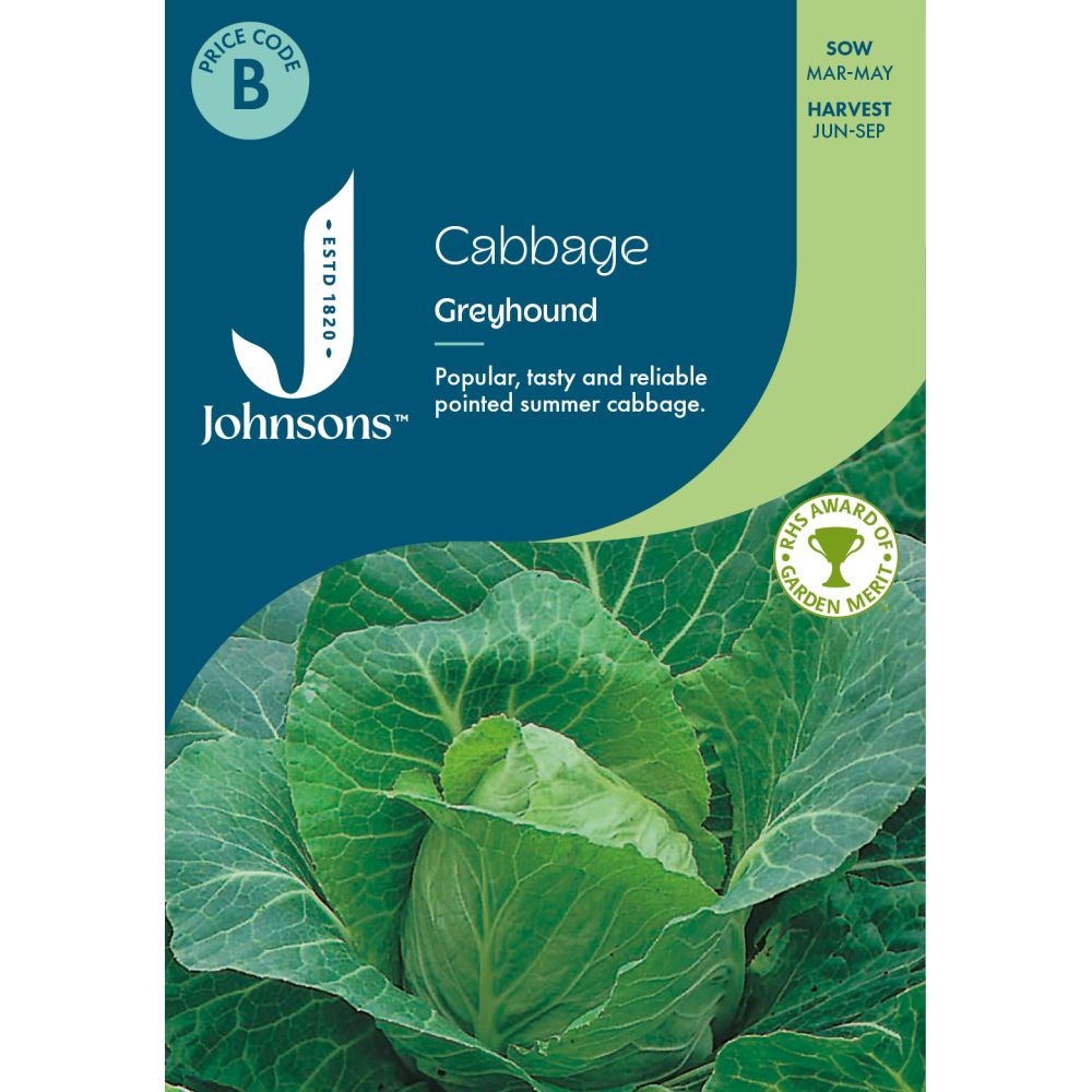 Cabbage Greyhound Seeds