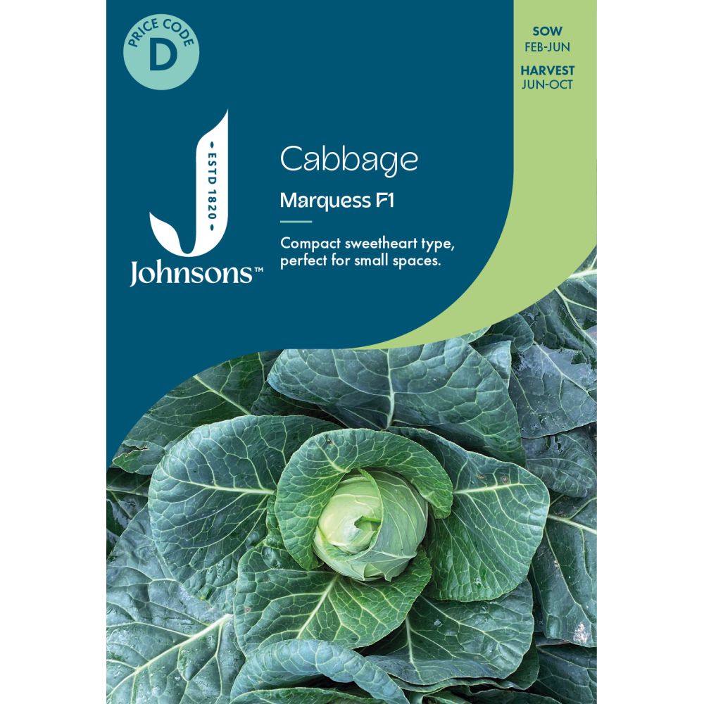 Cabbage Marquess F1 Seeds