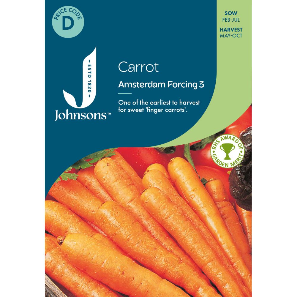Carrot Amsterdam Forcing 3 Seeds
