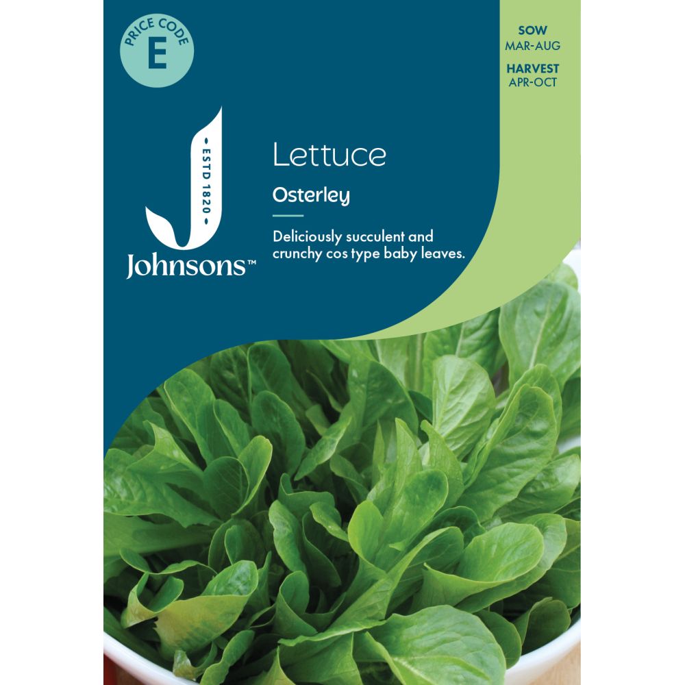 Lettuce Osterley Seeds